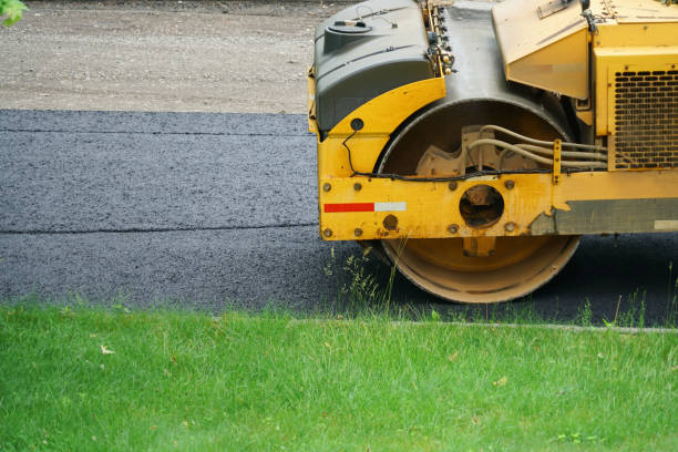 Best Professional Driveway Pavers  in Mascot, TN